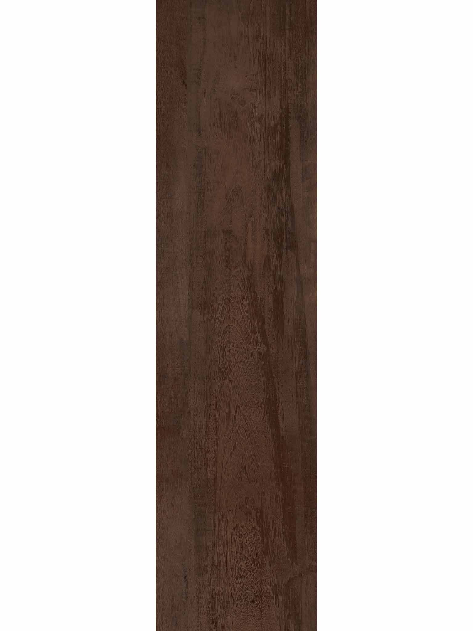 Forest Cherry