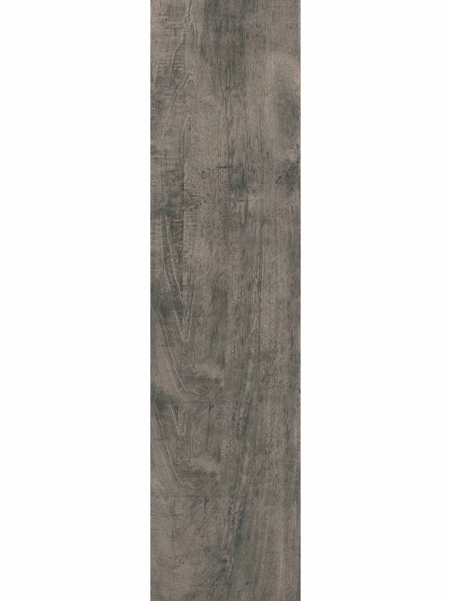 Forest Dark